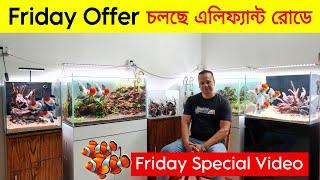 Aquarium Price In BangladeshAquarium Fish Price In Bangladesh 2024 Aquriam Fish Price BD