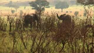 Uganda; Sustainable Tourism