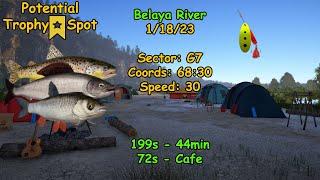 Russian Fishing 4 Belaya Active Spots Spiker 2# 018 1-18-23