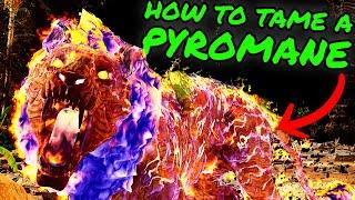 PYROMANE Easy Taming Guide! How to Tame a Pyromane on The Center in Ark Survival Ascended!