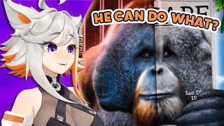 Containing This Ape Is IMPOSSIBLE! | Deme reacts to Joeseppi