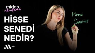 Hisse Senedi Nedir? Hisse Senedi Çeşitleri Nelerdir? - Akademi #11 | Midas+