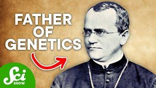 The Man Who Discovered Dominant & Recessive Genes: Meet Gregor Mendel