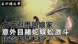 民間故事：女子避雨回娘家，意外目睹蛇蜈蚣激斗，蛇竟求借大鹅｜高朗講故事