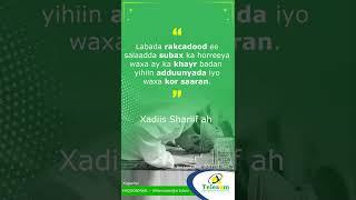 Subax Wanaagsan -- Xigasho:#Aqoonmaal - #Barnaamijka #Islam#Telesom