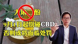 大麻二酚CBD被列入易制毒化学品管理，不要再滥用，否则面临法律风险