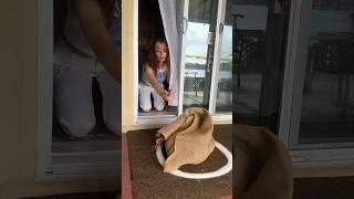 My food delivery process