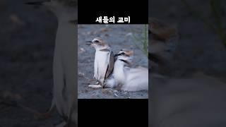 합체