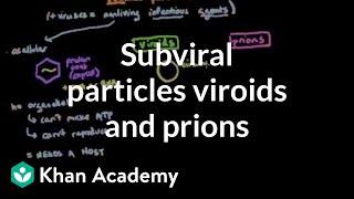 Subviral particles: viroids and prions | Cells | MCAT | Khan Academy