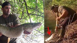 صید اردک ماهی سایز در طبیعتی زیبا در شمال ایران (pike fishing)