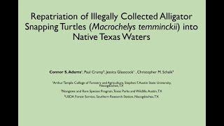 Wildlife Diversity Webinar Series - Repatriation of Alligator Snapping Turtles