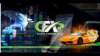 Cashfx Group Compensation Plan  - How Does It Work