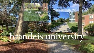 brandeis university move in vlog