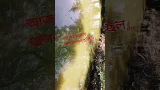 ,#sortvideo ##motivation 