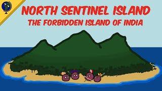 What the North Sentinelese can teach us about states