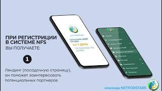 О системе Netforstars