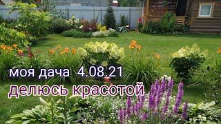 моя дача 4.08.21/делюсь красотой, приглашаю на прогулку!!!