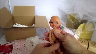 Unboxing My Meadow Twinkles Kyrra and Molly