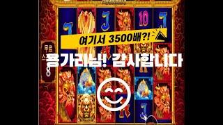 [슬롯머신] 5 라이온스 메가웨이즈 : 5 LIONS MEGAWAYS - 무심코돌렸는데 3500배 터졌다! #프라그마틱  #슬롯생방송  #슬롯매니아 #슬롯잭팟