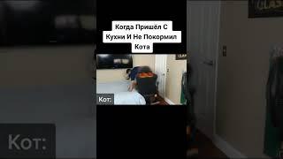 Когда пришёл с кухни и не покормил кота