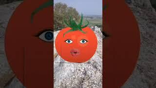 Ulta Shabd || Tomato & Brinjal