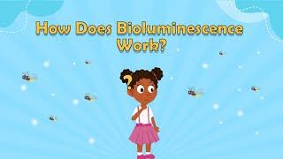 How Does Bioluminescence Work? | Science Facts For Kids | Science Facts | What is Bioluminescence?