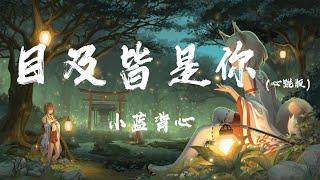 目及皆是你 (心跳版) - 小藍背心『我戒不掉你 像戒不了呼吸，漫長的距離 我用思念來代替』【動態歌詞】