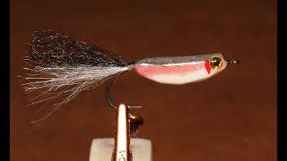 Foam Minnow (Fly Tying) Painting & Decorating