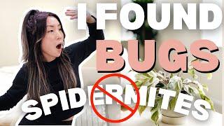 How I Treat My Houseplants for SPIDER MITES | Plant Chores | Care Routine + Tips | Vlog