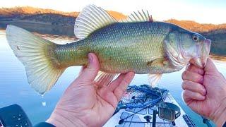 Winter Bass Fishing In California On New Years!