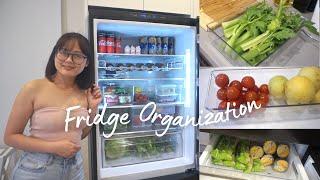 Fridge Organization + ANSWERING YOUR QUESTIONS ABOUT NZ! Cost of Living, How To Find Work Etc