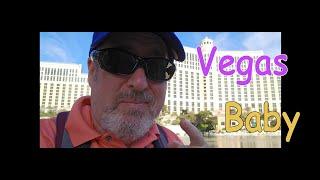 Vegas Baby 2025