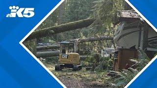 At least 50 RVs, campers crushed by trees at Lake Stevens campground