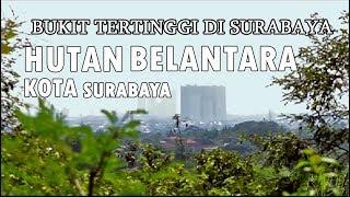 Hutan Kota Sumurwelut Puncak tertinggi Surabaya