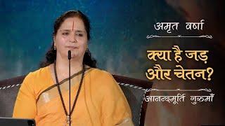 क्या है जड़ और चेतन? | AV Ep 2658 | Daily Satsang | 28 May 2025 | Anandmurti Gurumaa