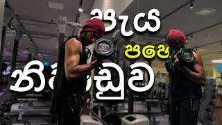 පැය පහේ නිවාඩුව | Sinhala | Life In Japan | Vlog 62 | 2024