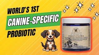 Fido's Flora - World's 1st Canine-Specific Probiotic! The best probiotic for any dog on antibiotics!