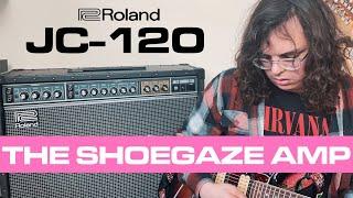 Shoegaze & Roland Jazz Chorus | JC-120 AMP DEMO ALL FEATURES