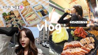 [일상 vlog] 일상으로 돌아온 간호사 브이로그‍️🩵_피크닉의 계절..봄이 왔다⎟논산가서 칼국수 맛집 찾음⎟친구만나러 대전가서 삼겹살+소맥⎟모듬 사시미+꼬치