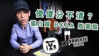 蛋白質 胺基酸 BCAA 傻傻分不清楚？｜蛋白質篇