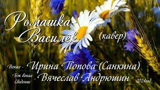 Ромашка-василёк-Ирина Попова (Санкина), Вячеслав Андрюшин