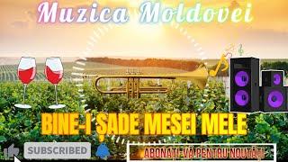 LA MASA CU NEMURELE  LA TROMPETĂ  MUZICĂ MOLDOVENEASCĂ NEMURITOARE / MELODII DE PETRECERE NEW