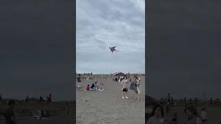 Taiwan Walk | Spider-Man Kite | 蜘蛛俠風箏