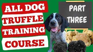 How to train your dog to hunt truffles tutorial - Part 3