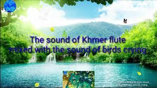 Relaxing 1 hours  the sound of Khmer flute mixed with the sound of birds crying / BVB BVB