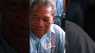 Shawshank redemption   Some Bird aren't meant to be caged #shortvideo#shawshank