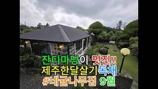 잔디마당 제주한달살기 독채 숙소, 네귤나무집 9월 | 가을의 시작