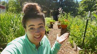 This Might Get Controversial | Full June Garden Tour