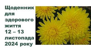 Щоденник важливих справ на городі, в садочку, на квітнику, для здоров'я 12-13 листопада 2024 року