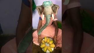 Sare Bolo  Happy Birthday Shoot Video Trending  #funny